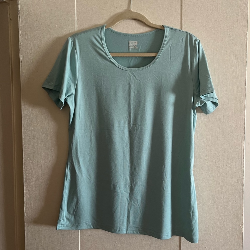(2) Women Shirts (Purple and Blue)